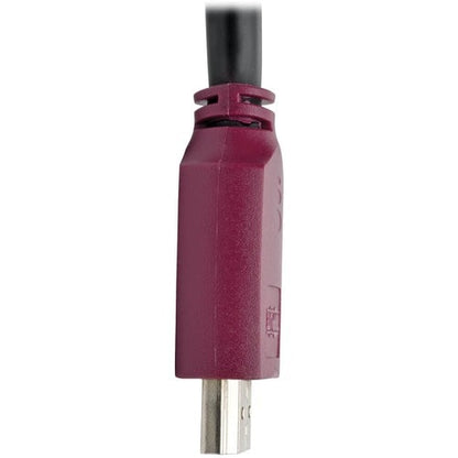 Tripp Lite par Eaton P569