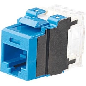 Panduit Network Connector - 1 - 1 x RJ-45 Network Female - Blue