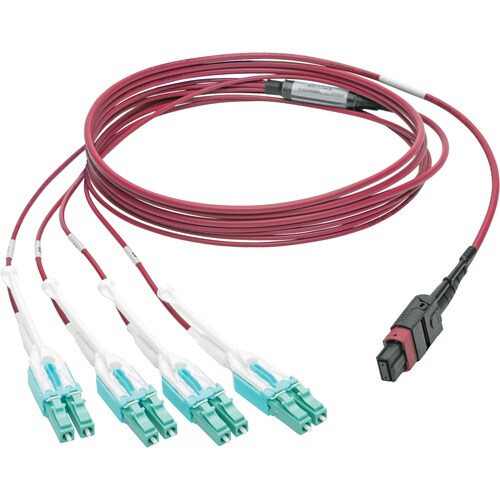 Tripp Lite by Eaton N845-02M-8L-MG MTP/MPO to 8xLC Fan-Out Patch Cable