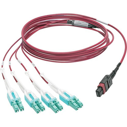 Tripp Lite by Eaton N845-02M-8L-MG MTP/MPO to 8xLC Fan-Out Patch Cable
