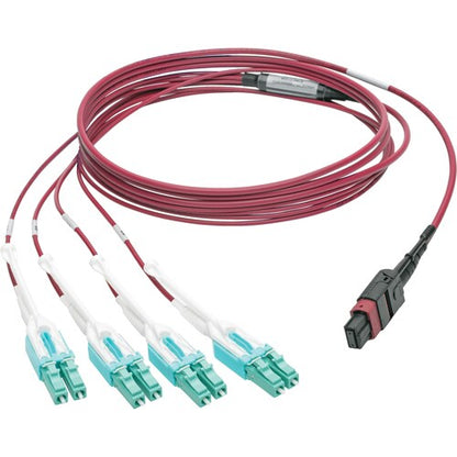 Tripp Lite by Eaton N845-03M-8L-MG MTP/MPO to 8xLC Fan-Out Patch Cable