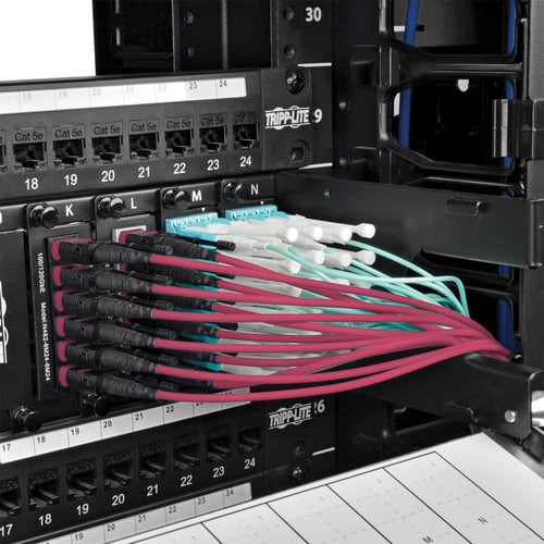 Tripp Lite by Eaton N845-10M-12-MG MTP/MPO Multimode Patch Cable, Magenta, 10 m