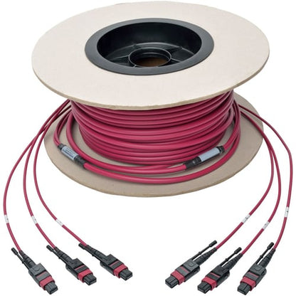 Tripp Lite par Eaton N858