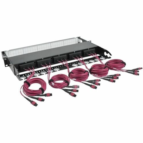 Tripp Lite by Eaton N48K-15M8L60-B 50/125 Breakout Fiber Patch Panel - 60 x Dupl