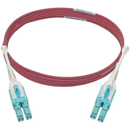Tripp Lite by Eaton N821