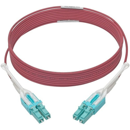 Tripp Lite by Eaton N821