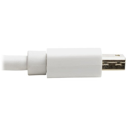 Tripp Lite by Eaton DisplayPort/Mini DisplayPort A/V Video Cable
