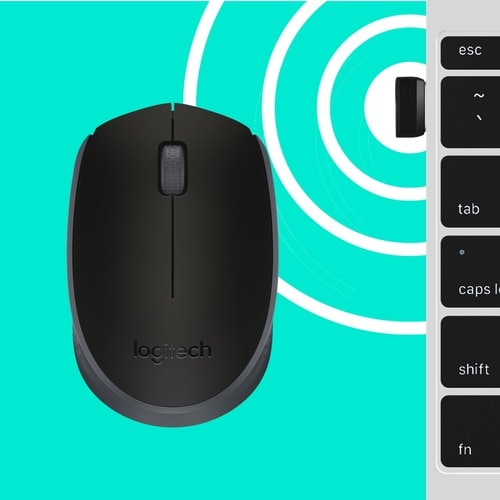 Logitech M170 Mouse - Optical - Wireless