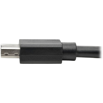 Cable de extensión Mini DisplayPort P585-010 de Tripp Lite by Eaton (macho/hembra)