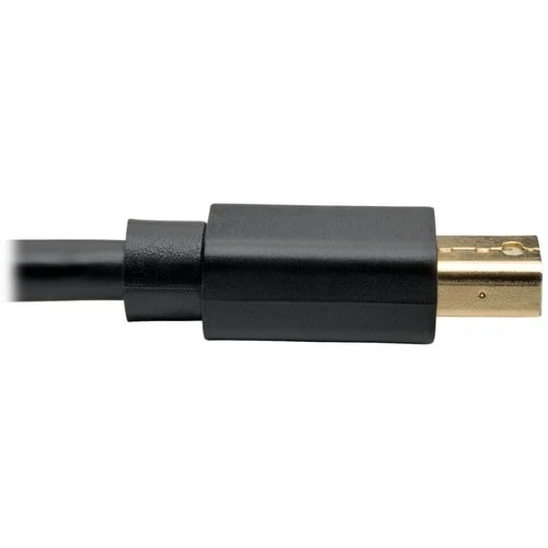 Tripp Lite series P583-006-BK DisplayPort/Mini-DisplayPort Audio/Video Cable - 6 ft (1.83