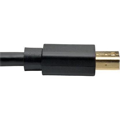 Cable de audio y video DisplayPort/Mini-DisplayPort P583-010-BK de Tripp Lite by Eaton: 10 pies (3.08 m)