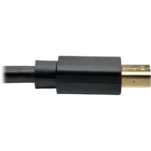 Cable de audio y video DisplayPort/Mini DisplayPort P583-003-BK de Tripp Lite by Eaton - 3 pies (0,9