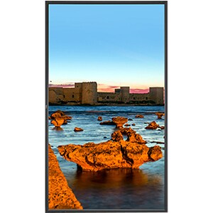 Pantalla NEC de 55" con retroiluminación LED de ultra alta definición integrada