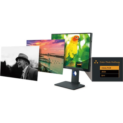 24IN IPS 1920X1200 DP/HDMI/DVI USB-C RGB DCI-P3 10-BIT PANEL GR