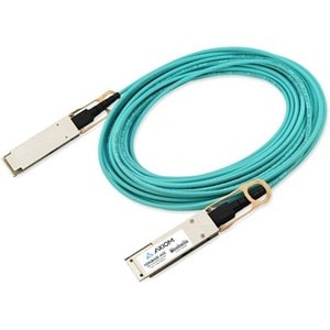 Axiom Memory Axiom 100GBASE