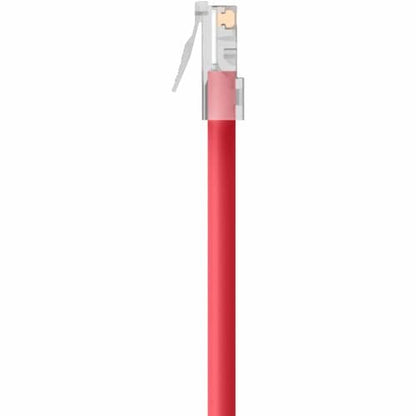 Belkin RJ45 CAT