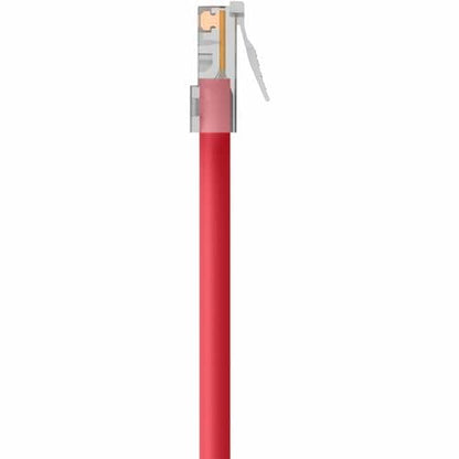 Belkin RJ45 CAT