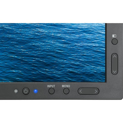 NEC Display SpectraViewII P243W-BK-SV WUXGA LCD Monitor