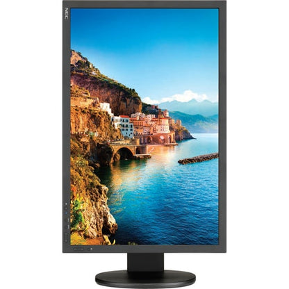 NEC Display SpectraViewII P243W-BK-SV WUXGA LCD Monitor