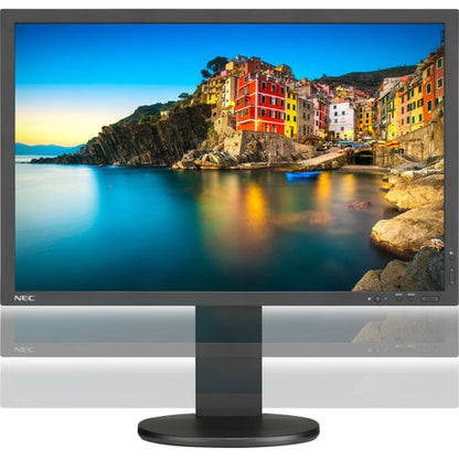NEC Display SpectraViewII P243W-BK-SV WUXGA LCD Monitor