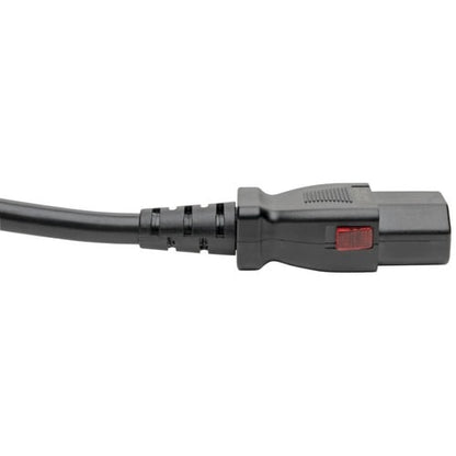 Rallonge d'alimentation Tripp Lite série P004-L02 – Pour ordinateur