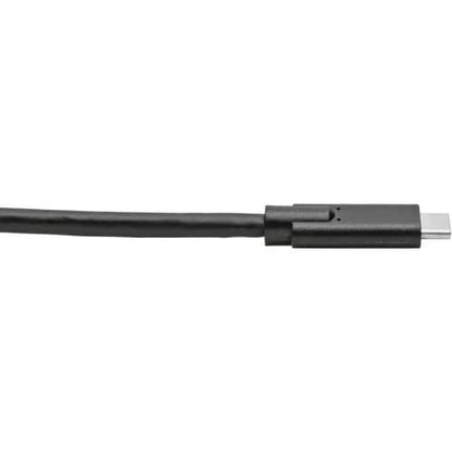 Tripp Lite series U420-010 USB Type-C to USB Type-C Cable