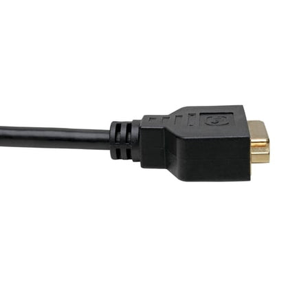 Adaptador de cable DisplayPort a DVI Tripp Lite by Eaton P134-001-GC - M/H, negro, 30 cm - 1 f