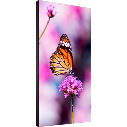 Pantalla NEC de 55" con retroiluminación LED, bisel ultraestrecho de 0,88 mm, 2x2, paquete de videowall