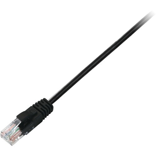 Câble V7 Cat6 non blindé (UTP) noir RJ45 mâle vers RJ45 mâle 0,5 m 1,6 pi