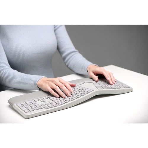 PRO FIT ERGO WL KB/MOUSE GRIS ETMOUSE GRIS