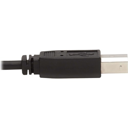 Tripp Lite by Eaton P784