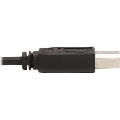 Tripp Lite by Eaton P784