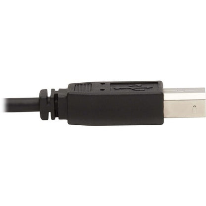 Tripp Lite by Eaton P784
