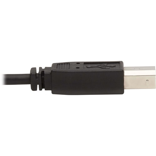Tripp Lite by Eaton P784