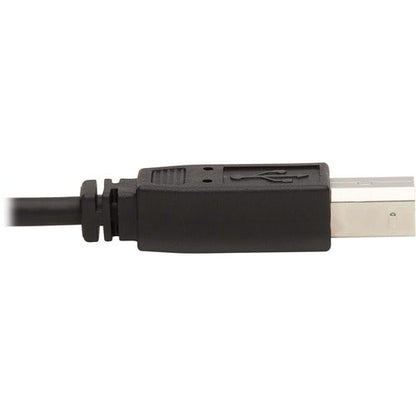 Tripp Lite by Eaton P784