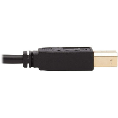 Tripp Lite by Eaton P784