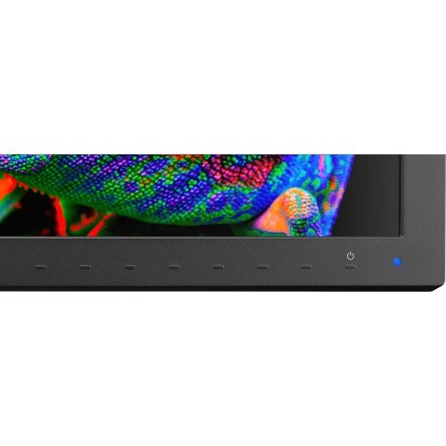31.1IN MULTISYNC 17 9 4096X2160 WIDE COLOR GAMUT LED BACKLIT LCD