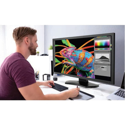 NEC Display PA311D-BK-SV 31\" Class 4K LCD Monitor