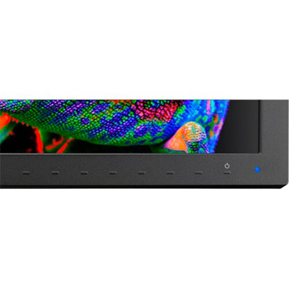 NEC Display PA311D-BK-SV 31\" Class 4K LCD Monitor