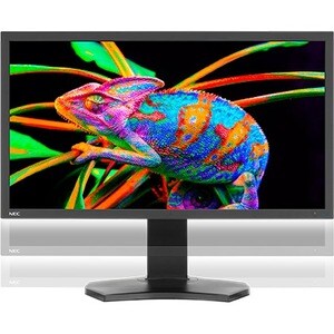 NEC Display PA311D-BK-SV 31\" Class 4K LCD Monitor