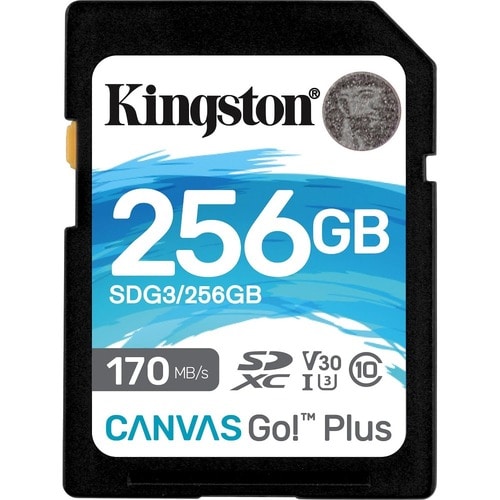 MULTI 1 256GB SDXC CANVAS GO PLUS 170R