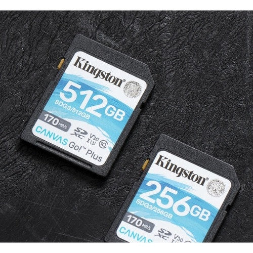 MULTI 1 256GB SDXC CANVAS GO PLUS 170R