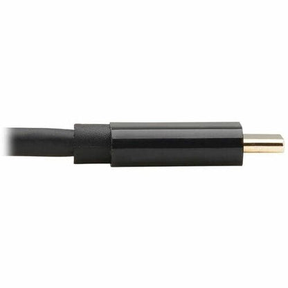 Cable adaptador bidireccional USB-C a DisplayPort de Tripp Lite by Eaton, M/M, 1.83 m - 1.83 m (6 pies - 6 pies)