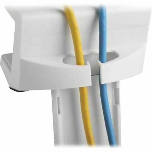 Tripp Lite by Eaton CLAMPUSW Clamp Mount for Power Strip, Surge Protec