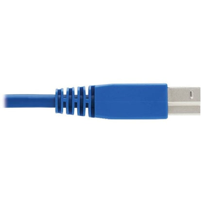 Tripp Lite by Eaton Cable Kit - PVC