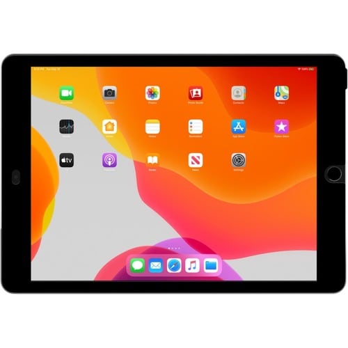 Belkin True Privacy Screen Proter for iPad 7th