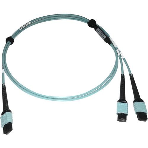 Tripp Lite by Eaton N846D-01M-24BAQ Fiber Optic Patch Network Cable - 3.3 ft (1