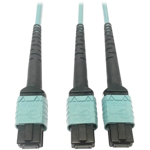Tripp Lite by Eaton N846D-01M-24BAQ Fiber Optic Patch Network Cable - 3.3 ft (1