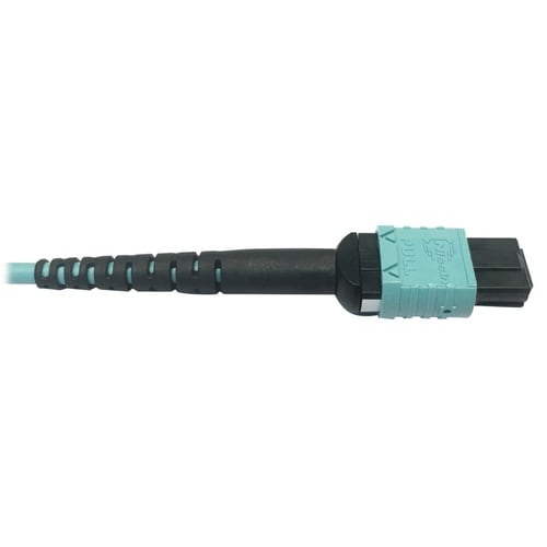 Tripp Lite by Eaton N846D-01M-24BAQ Fiber Optic Patch Network Cable - 3.3 ft (1