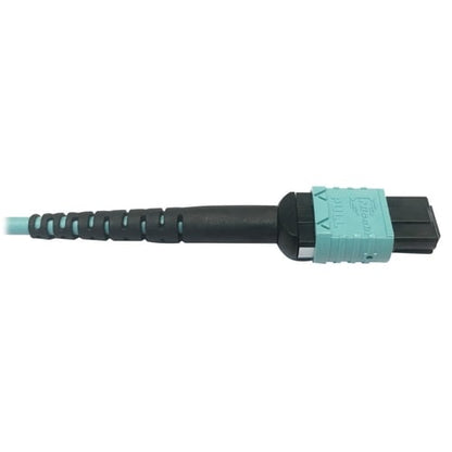 Tripp Lite by Eaton N846D-01M-24BAQ Fiber Optic Patch Network Cable - 3.3 ft (1